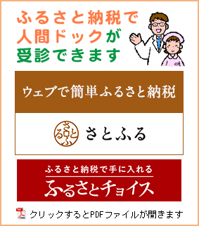 ふるさと納税で人間ドック