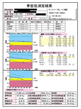 DEXA 検査レポート例